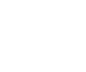 Secure Checkout
