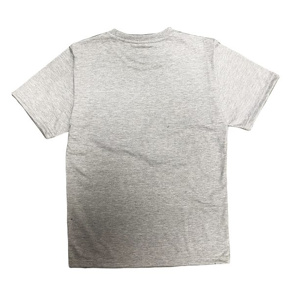 Purerawz Grey Awesome T-Shirt | Purerawz