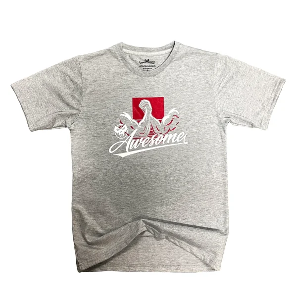 Purerawz Grey Awesome T-Shirt 2 | Purerawz